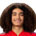 https://img.sunwulake.com/img/football/player/87359ed9061cfd73513d827263deebcd.png