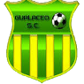 https://img.sunwulake.com/img/football/team/3dfa700c1f084e5a18fc926d6f7ae427.png