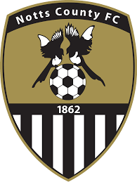 https://img.sunwulake.com/img/football/team/9e230c89a846b9cadf91884918fa7611.png